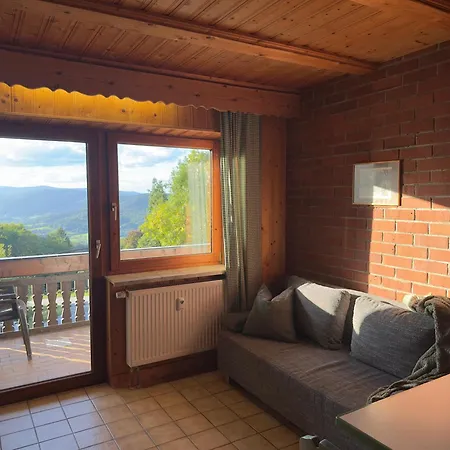 Aparthotel Moderne Im Bayerischen Wald Mit Bergblick, Balkon & Grosser Terrasse