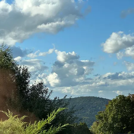 Moderne Im Bayerischen Wald Mit Bergblick, Balkon & Grosser Terrasse Aparthotel Schöfweg